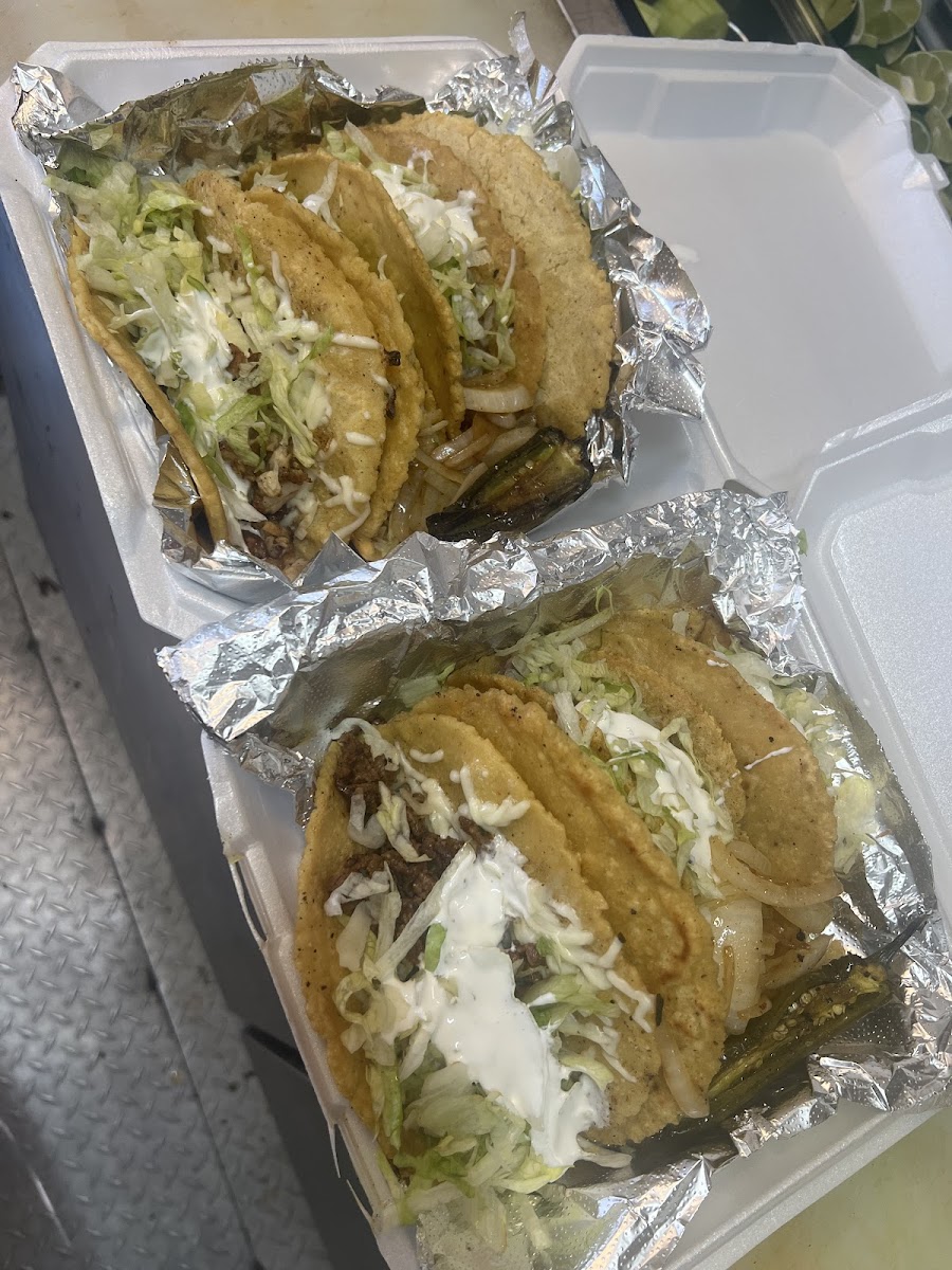 Tacos La Burra LLC Photo 10