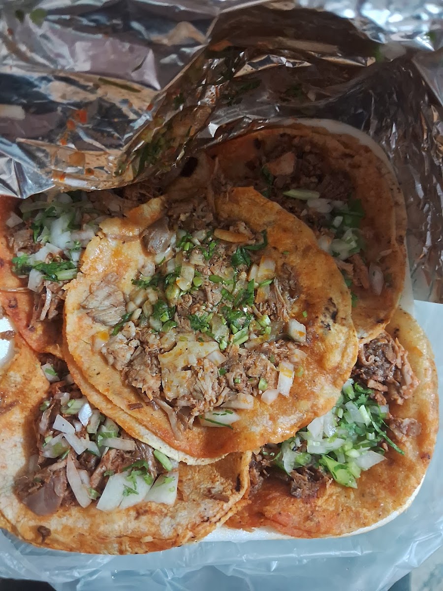 Tacos La Pista Photo 6