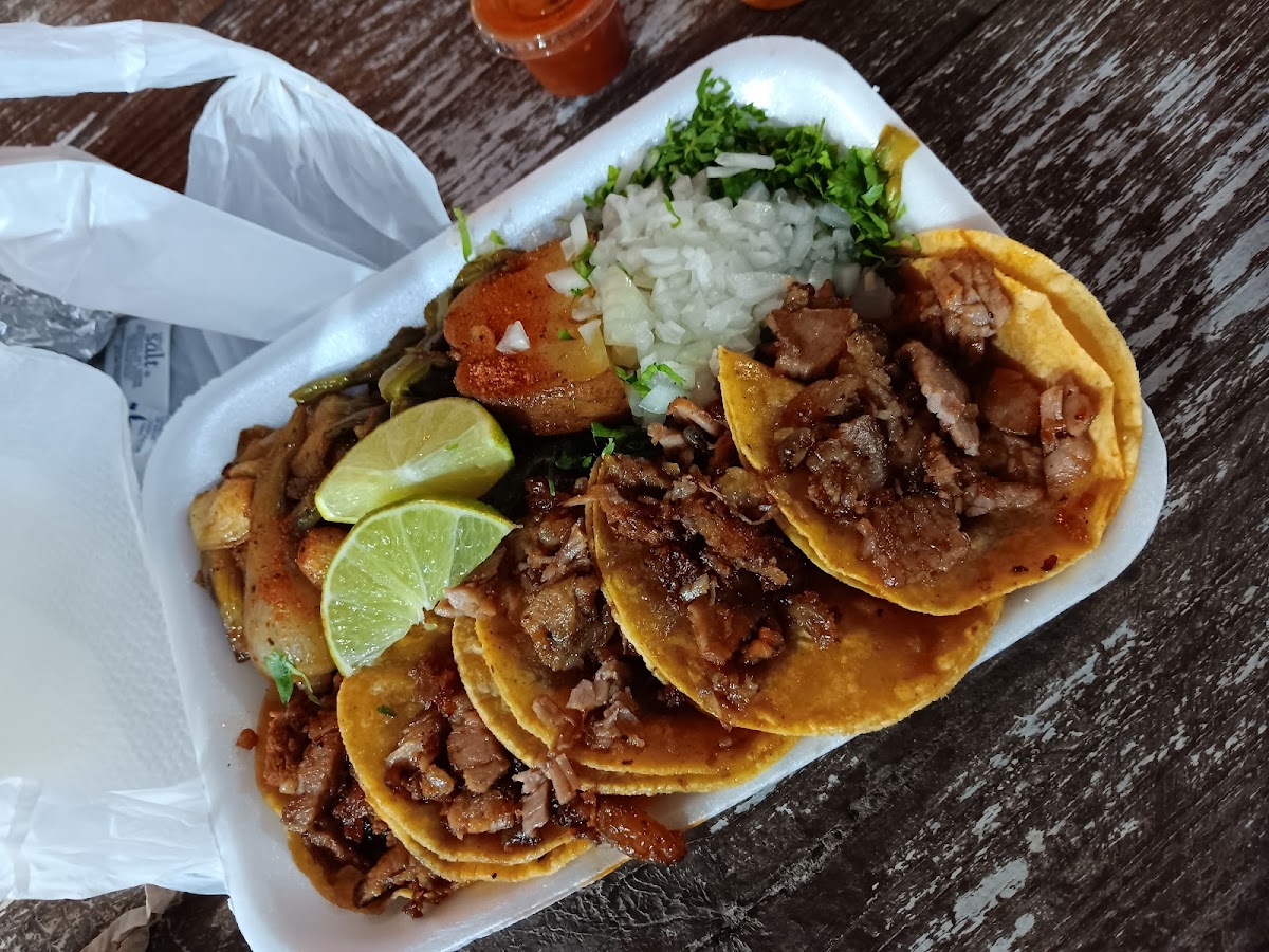 Los Magueyes Photo 7