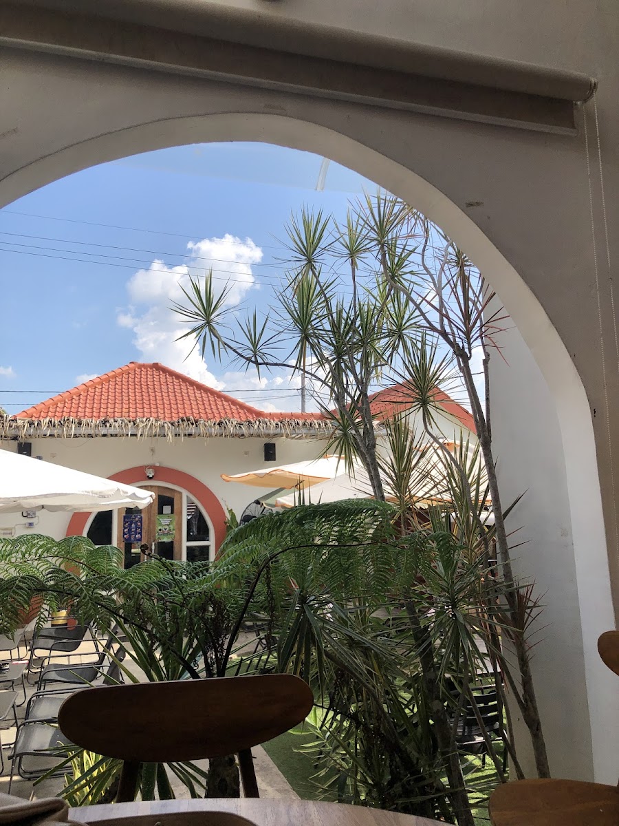 Terakota Coffee and Eatery Photo 5
