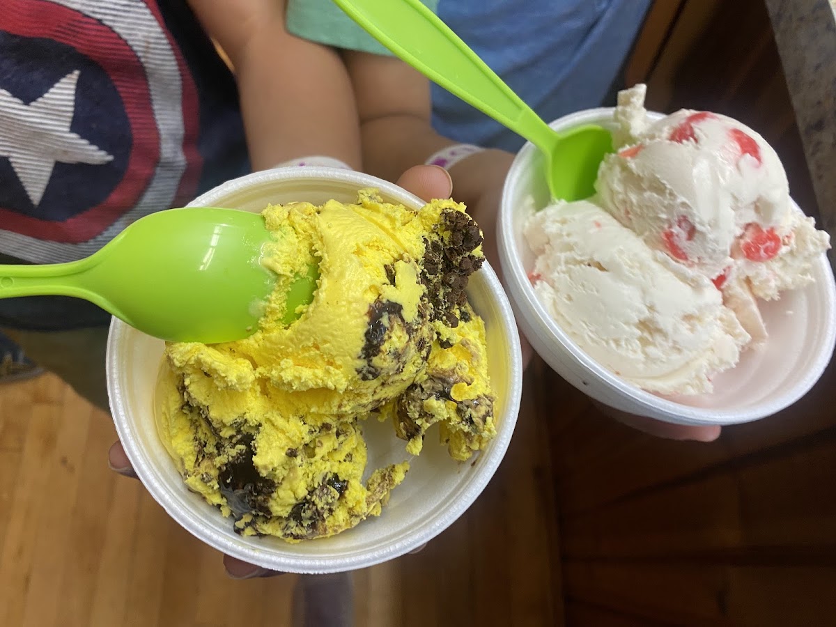 Ligonier Creamery Photo 3