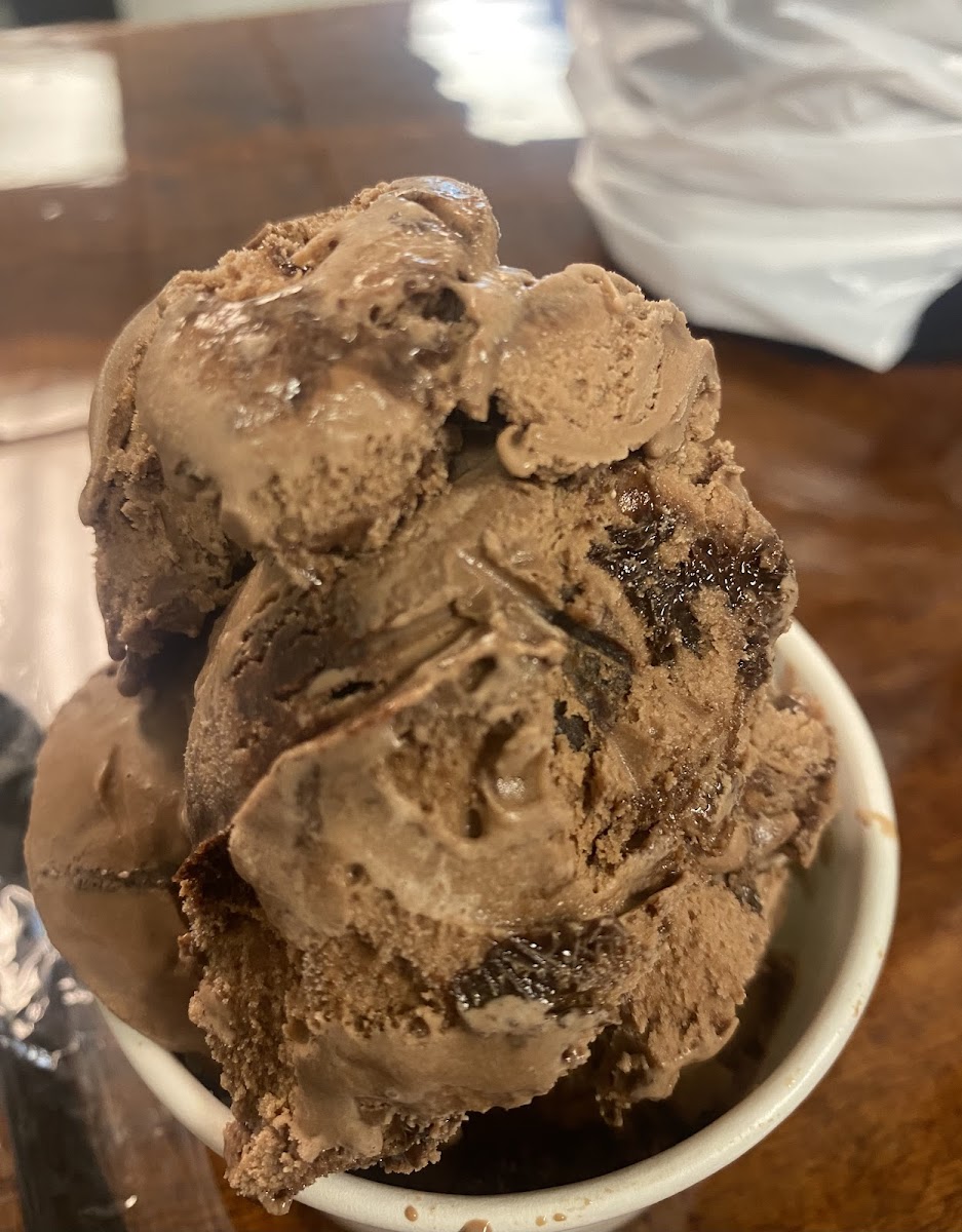 Seven Daughters Scoops Photo 5