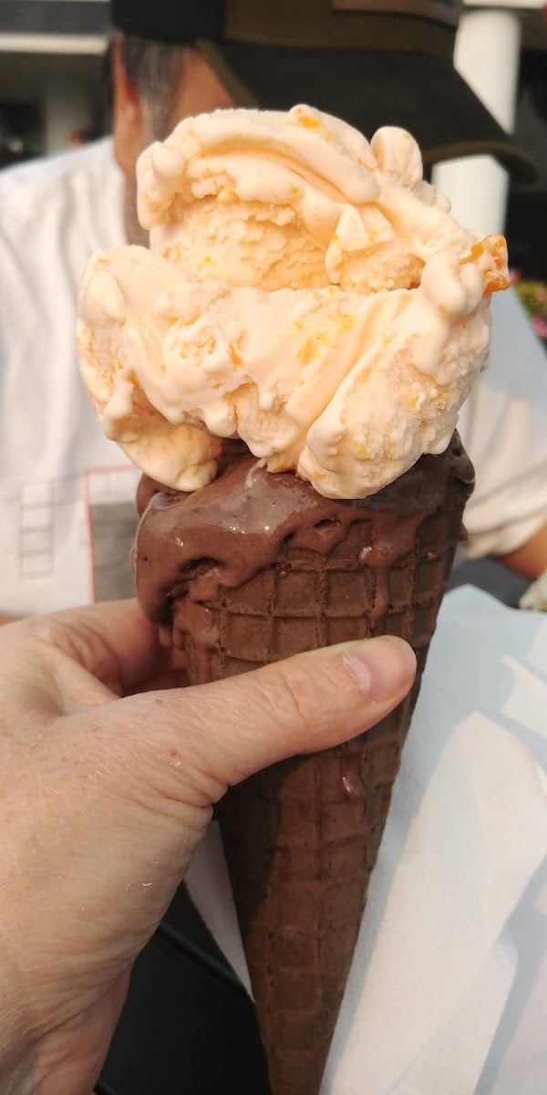 Seven Daughters Scoops Photo 7