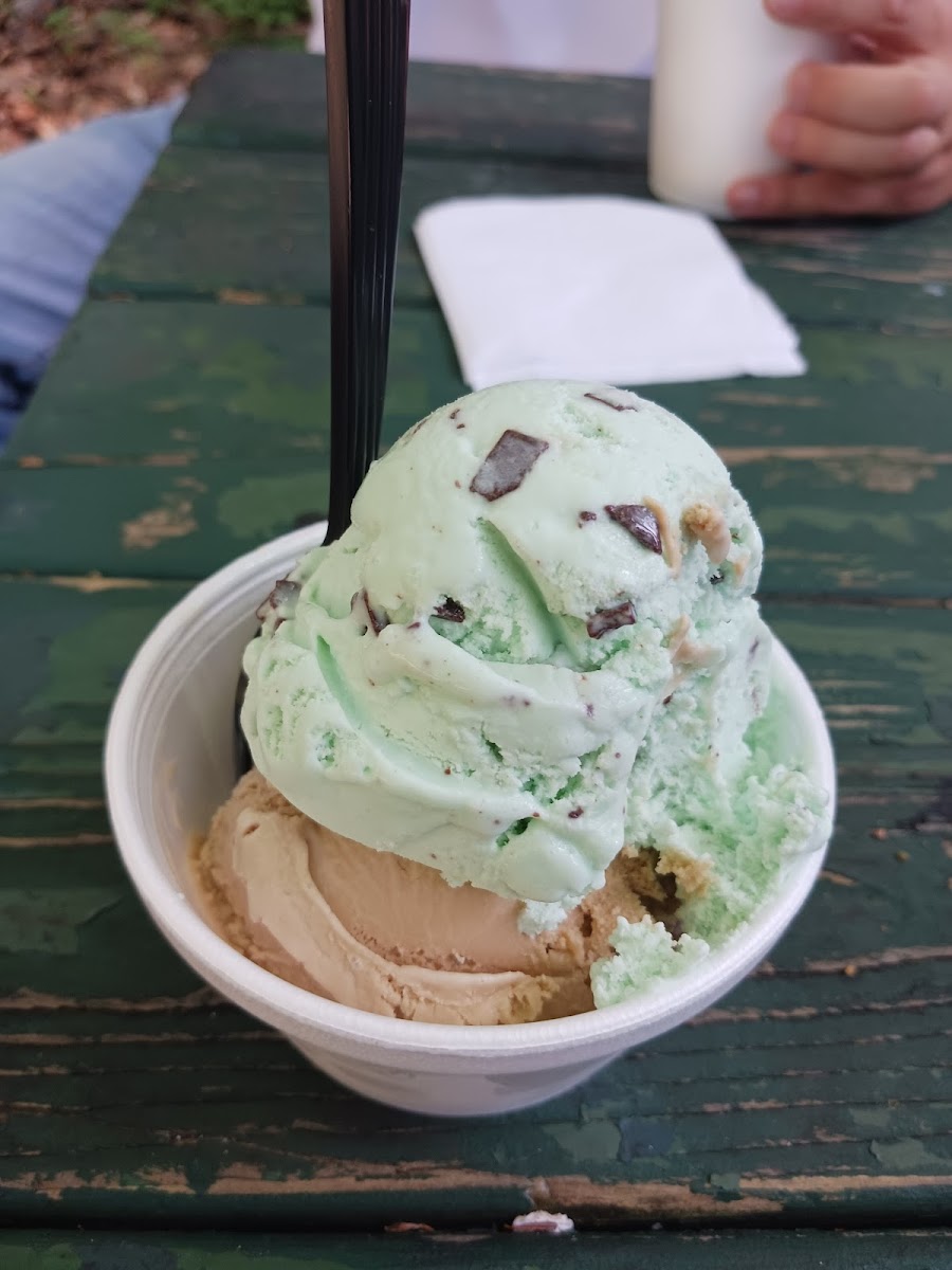 Maryann's Dairy Bar Photo 9