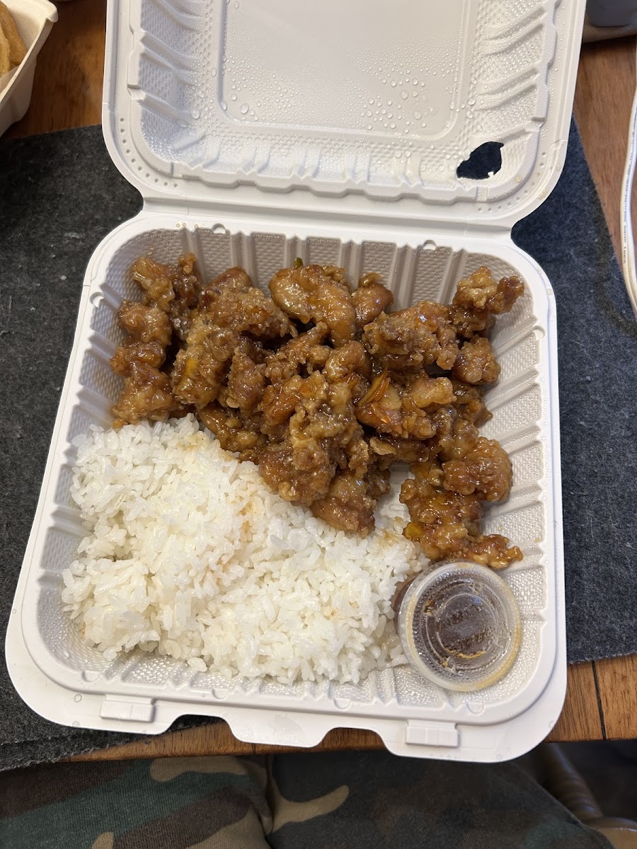 Manna Deli Teriyaki Photo 4