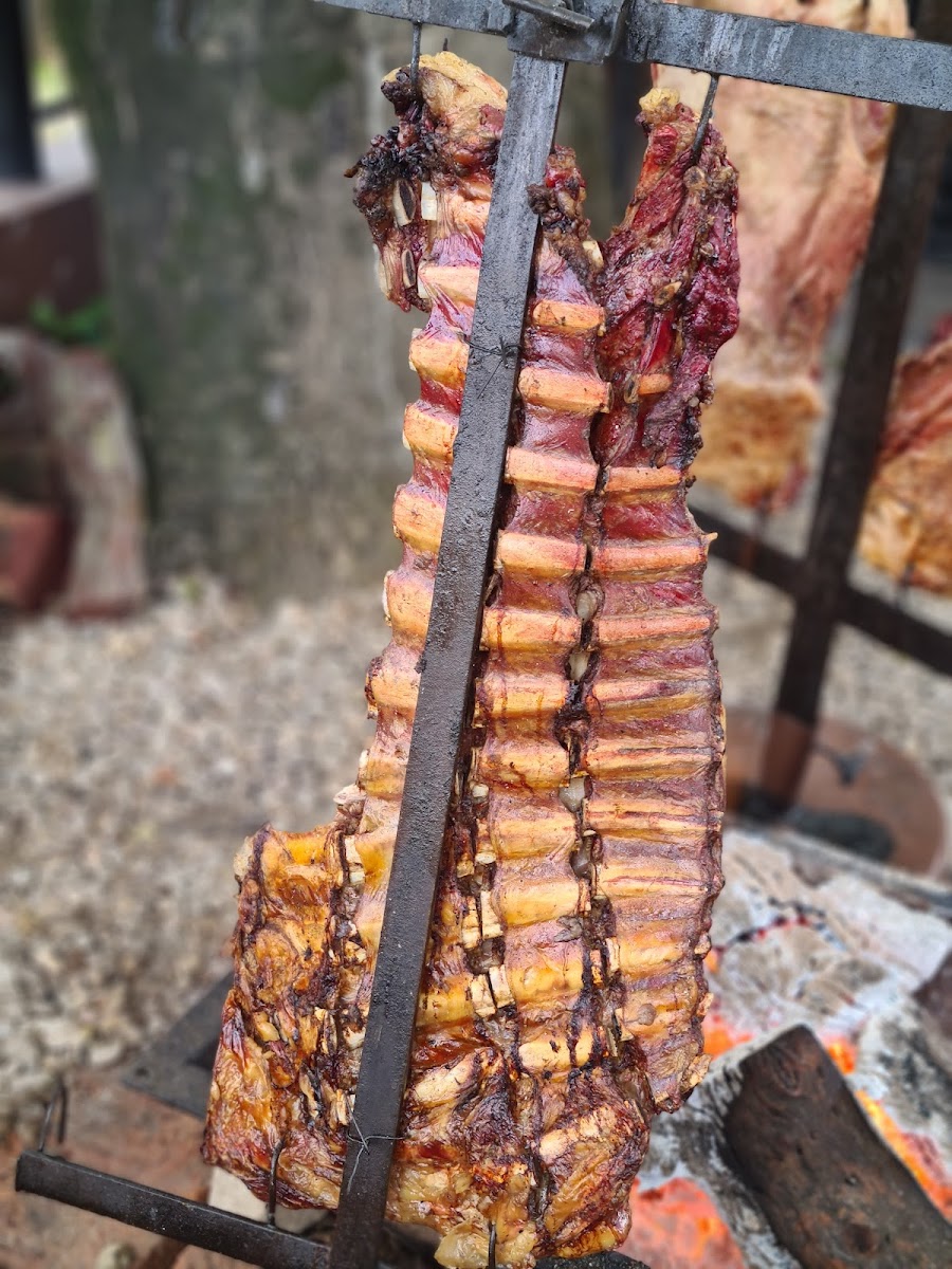 Parrilla Choli Photo 3