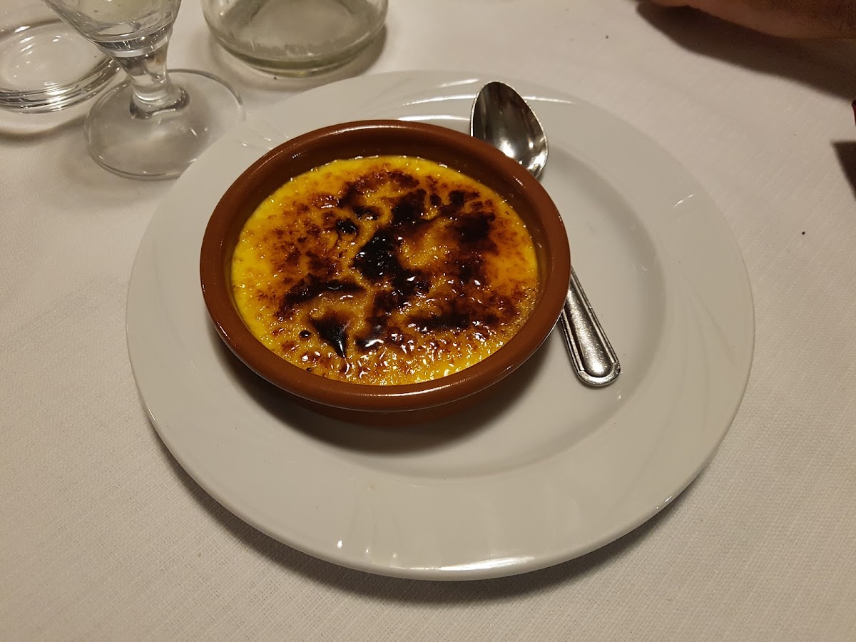 Ristorante Pizzeria Terrazza Michelangelo Photo 10
