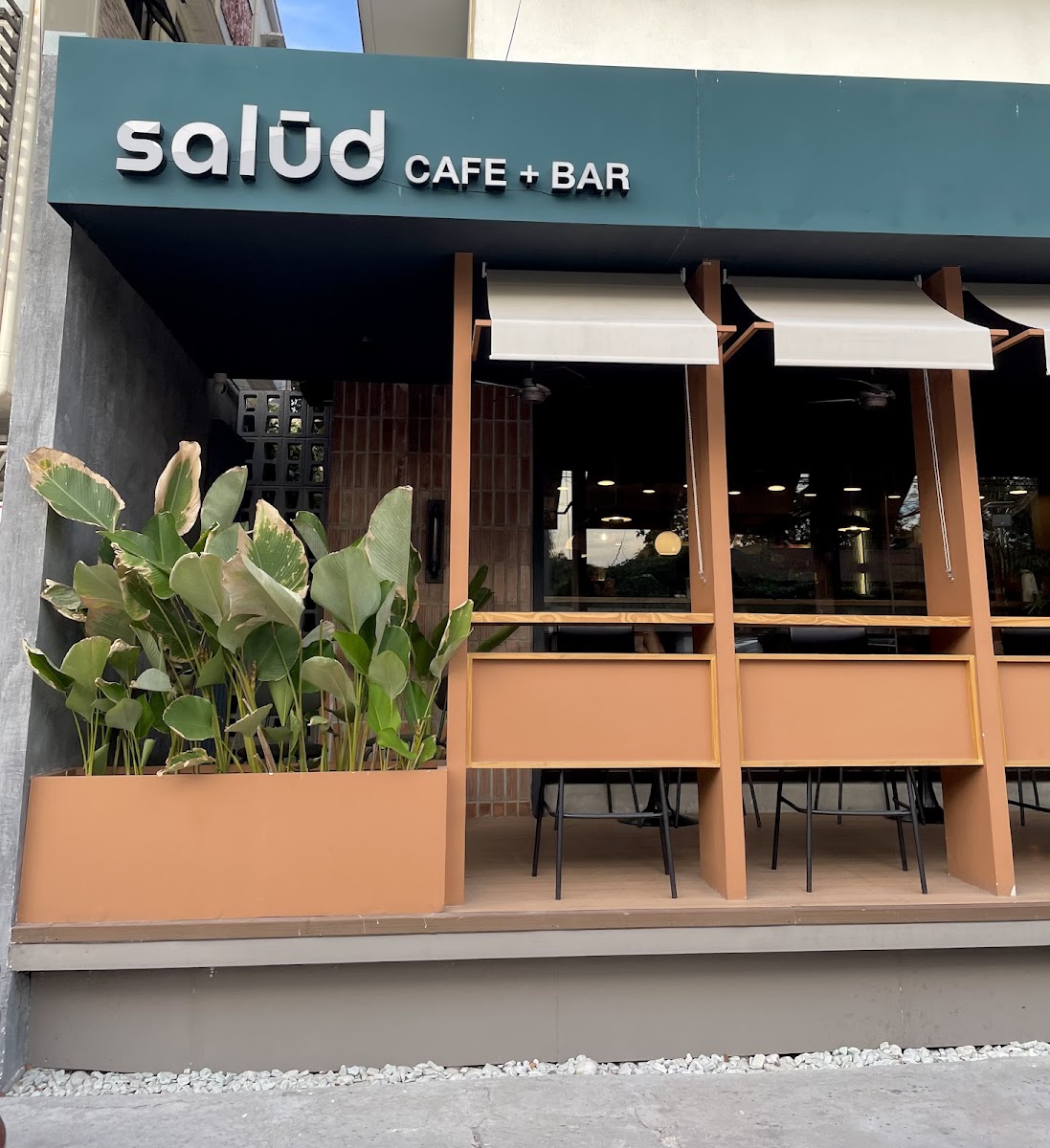 Salud Cafe + Bar Photo 1