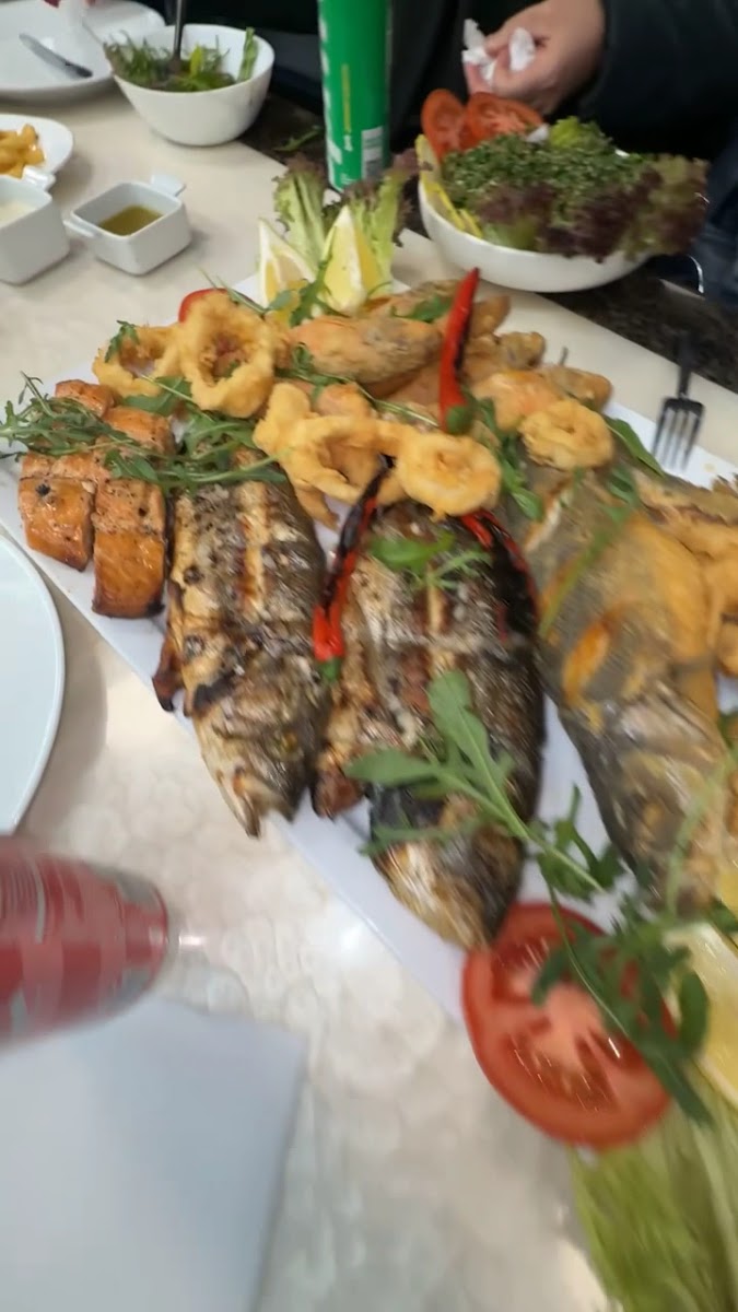 Fischland Restaurant Photo 2