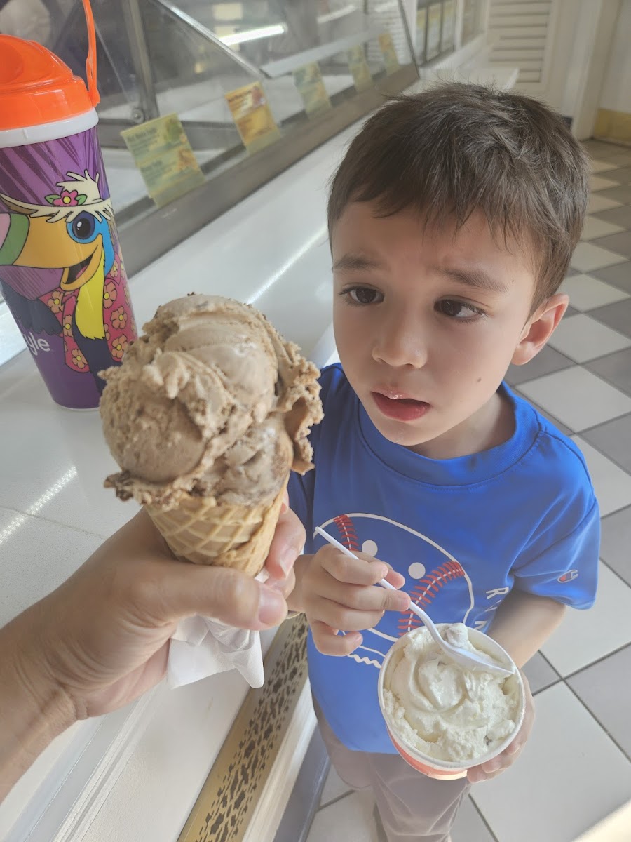 Hershey's Ice Cream Parlor at OWA Photo 10