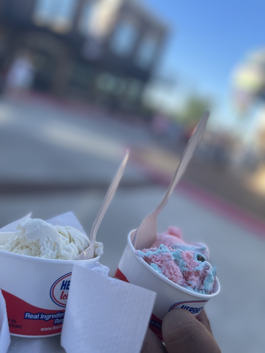 Hershey's Ice Cream Parlor at OWA Photo 8