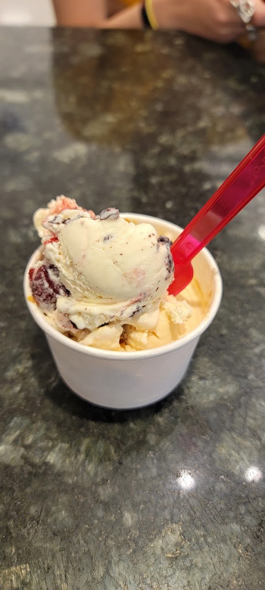 Settimi's Gelato Photo 10