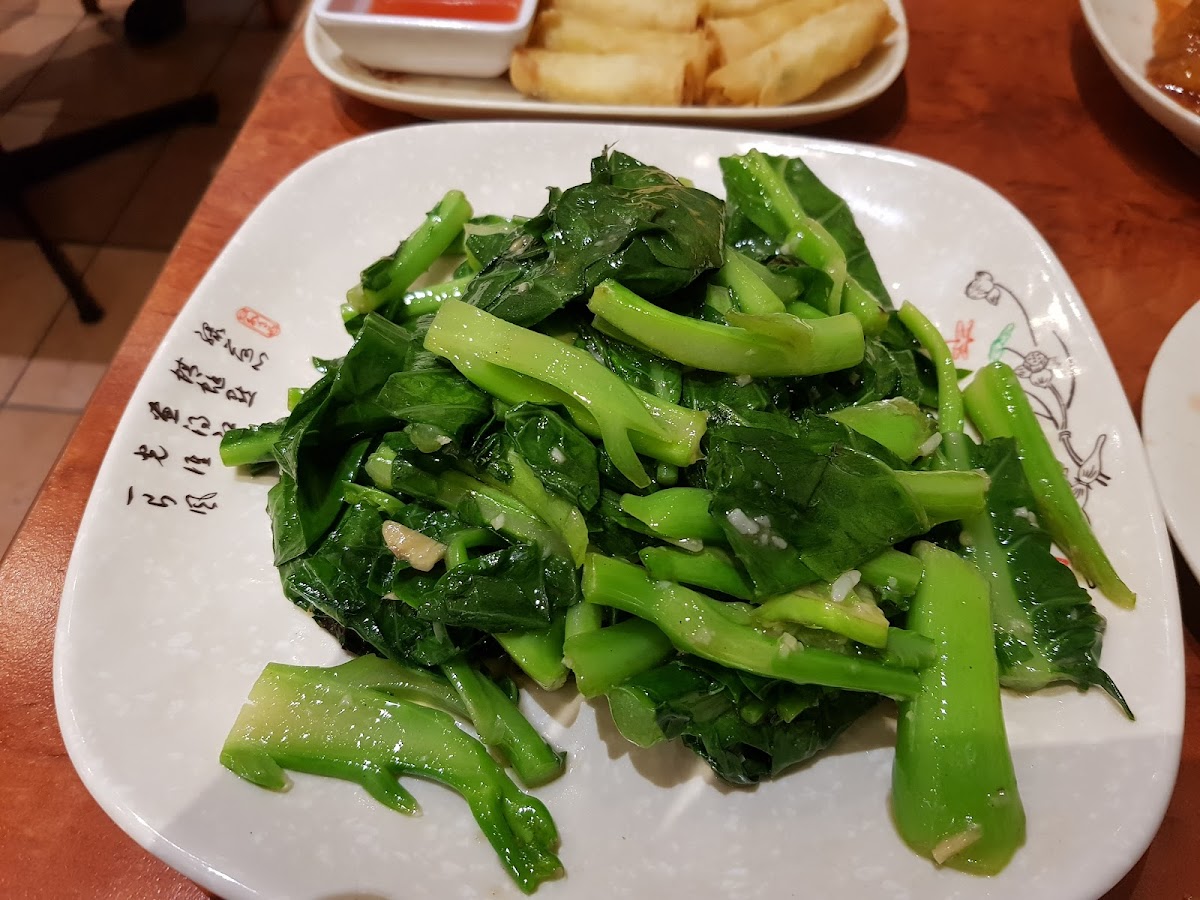 All Season Dumpling Restaurant Photo 10