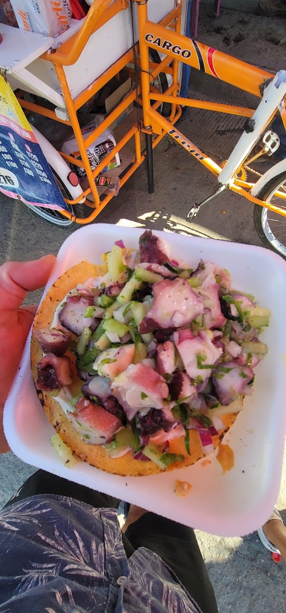 Ceviches el moy Photo 8