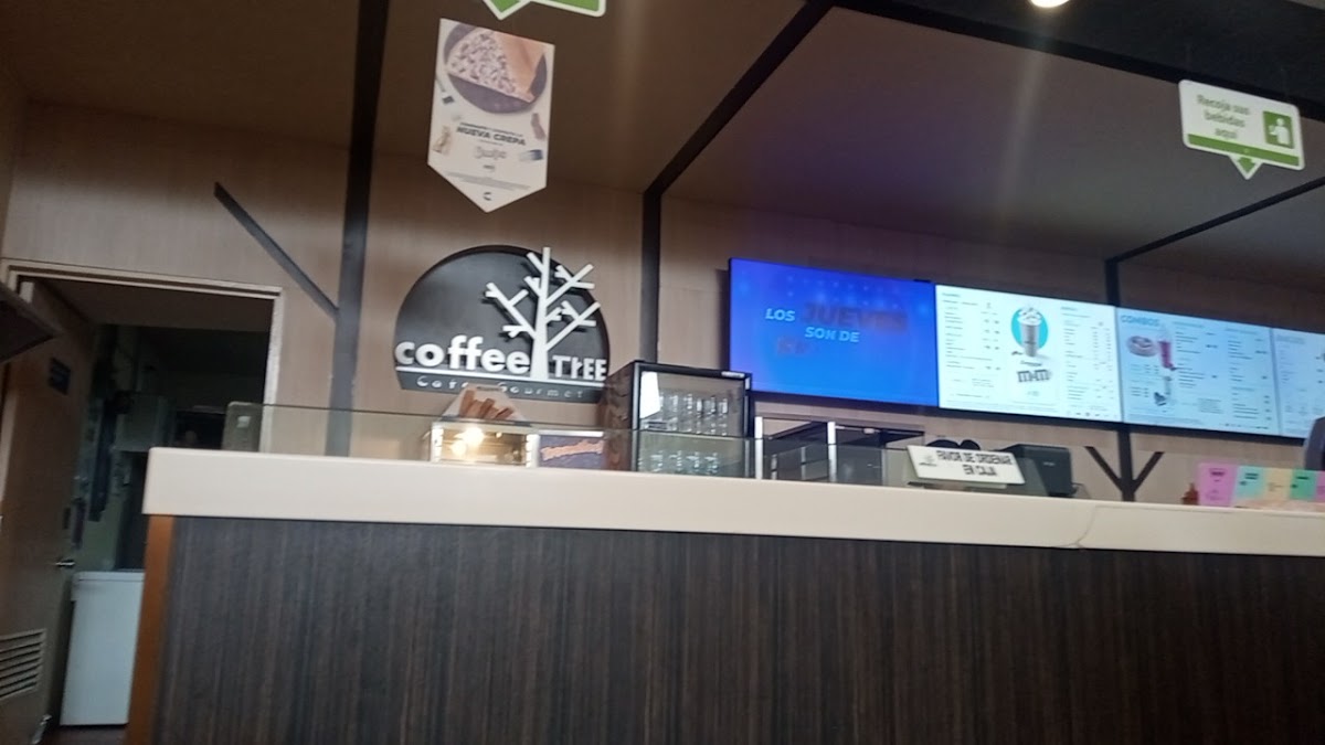 Coffee Tree Photo 2