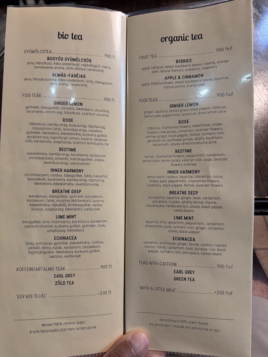 Kozmosz Vegan Restaurant Photo Menu 2