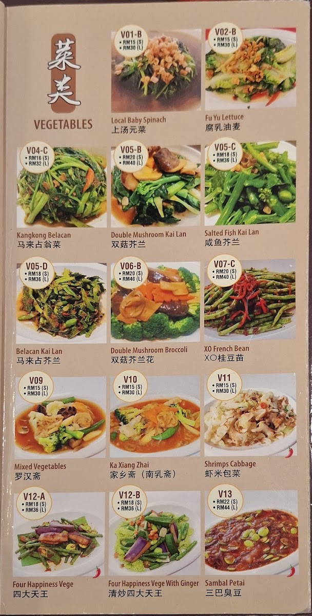 Tian Xiang Yuan Vegetarian Restaurant 天香苑 Photo Menu 7