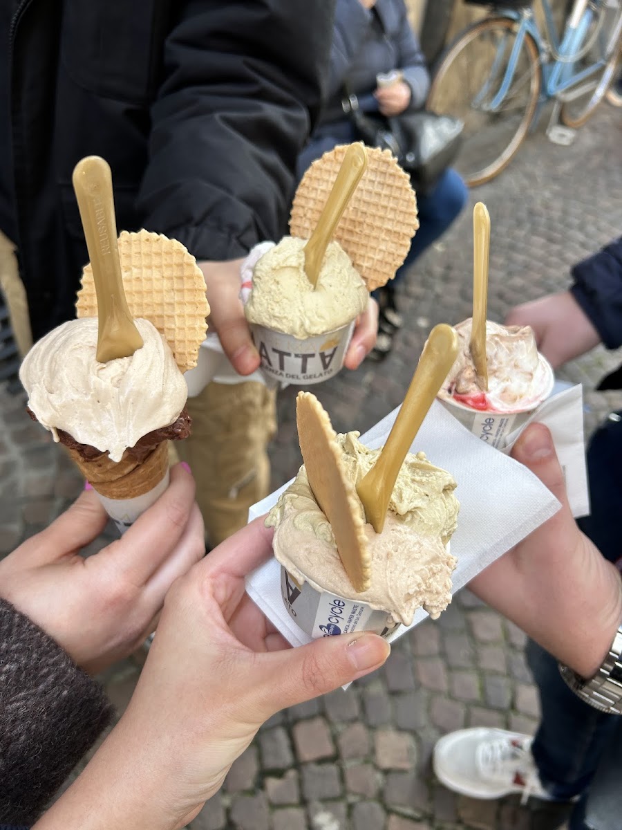 Gelateria La Crema Matta Photo 4