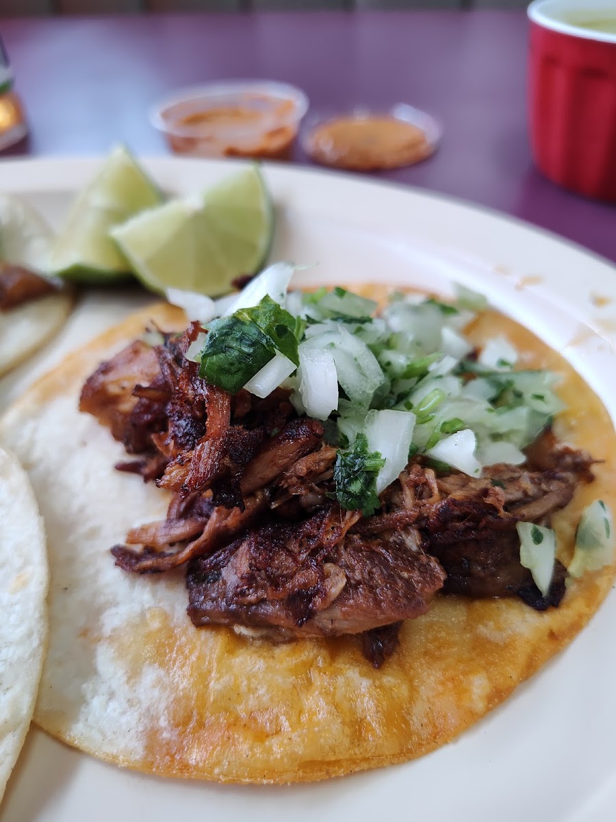 Taqueria las chulas Photo 5
