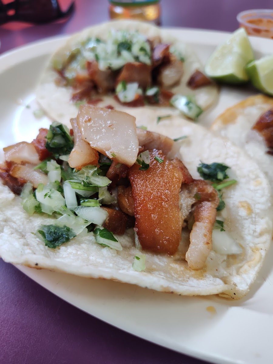 Taqueria las chulas Photo 7