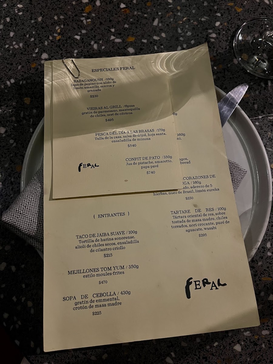FERAL Photo Menu 6