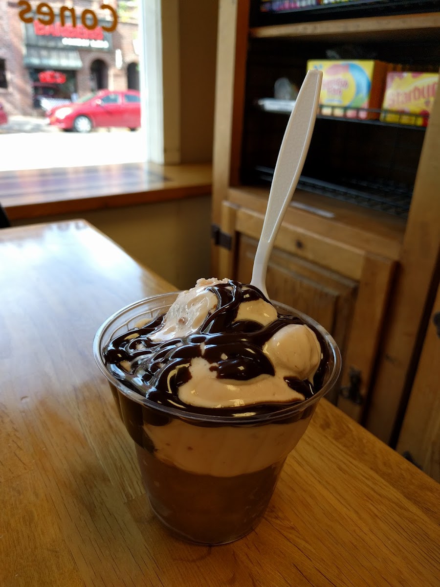 Two Scoops Anoka Photo 6