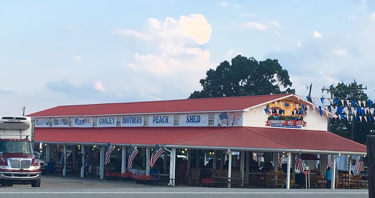 Strawberry Hill USA- CAFE