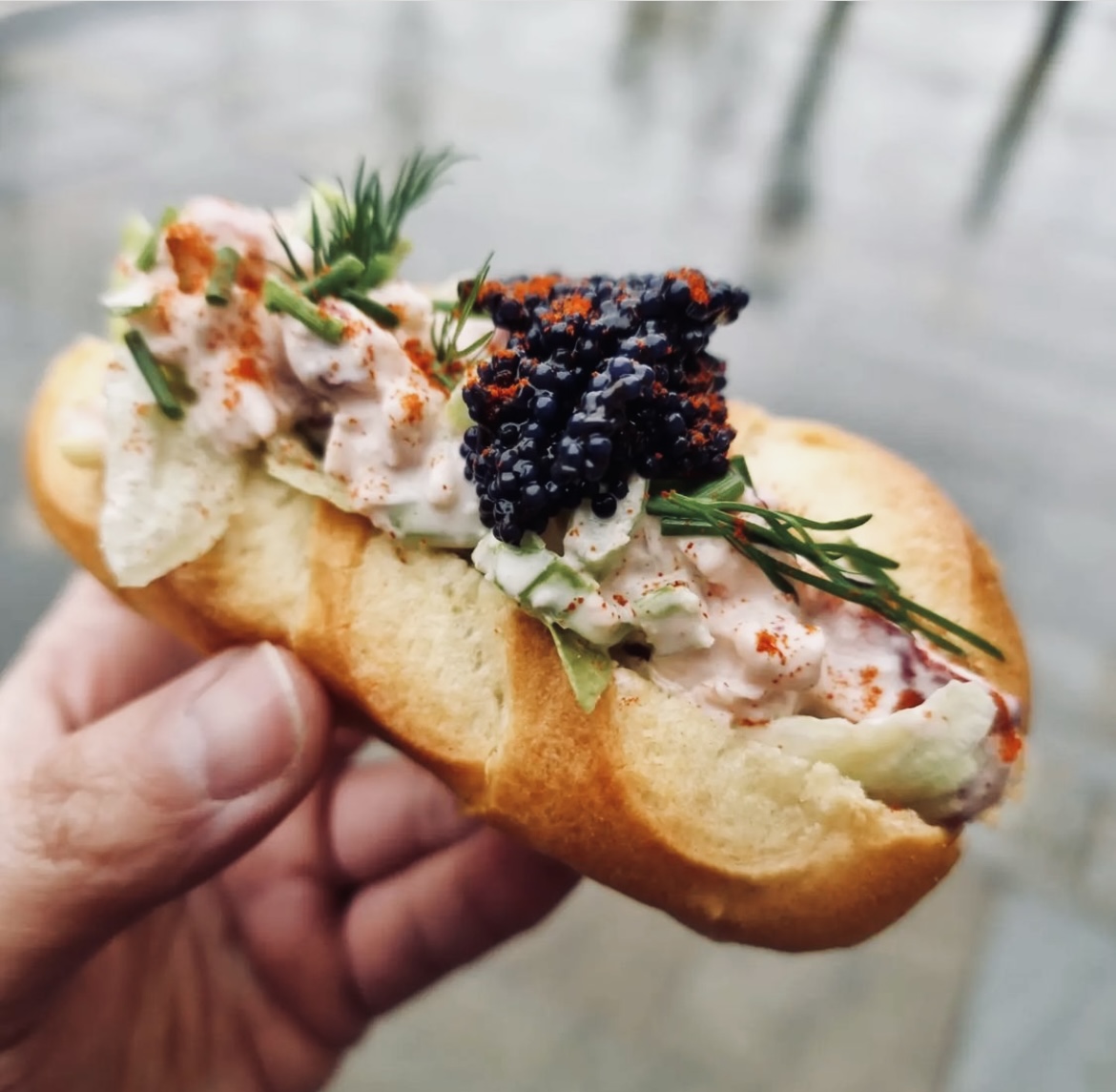 The Jolly Lobster Photo 3