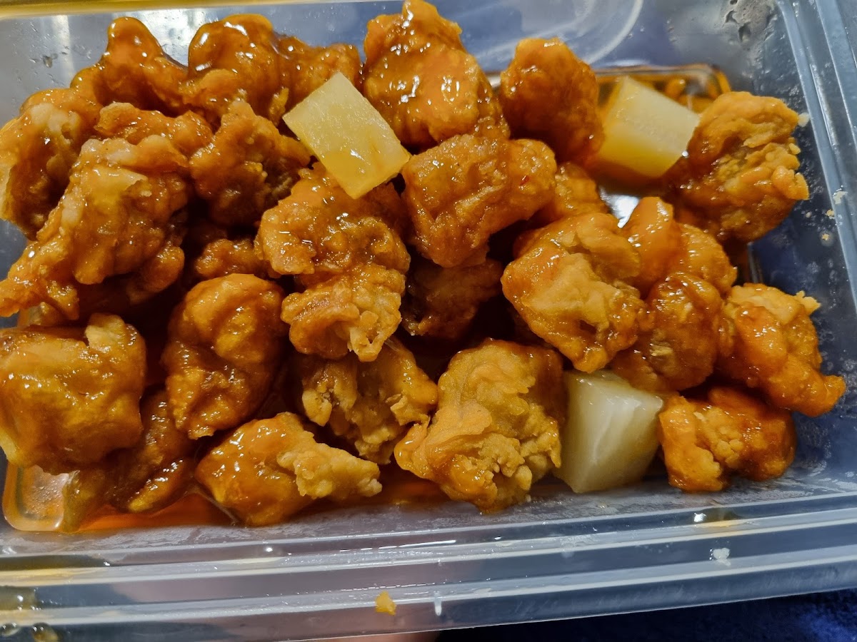 Junction Fish Supply Photo 3
