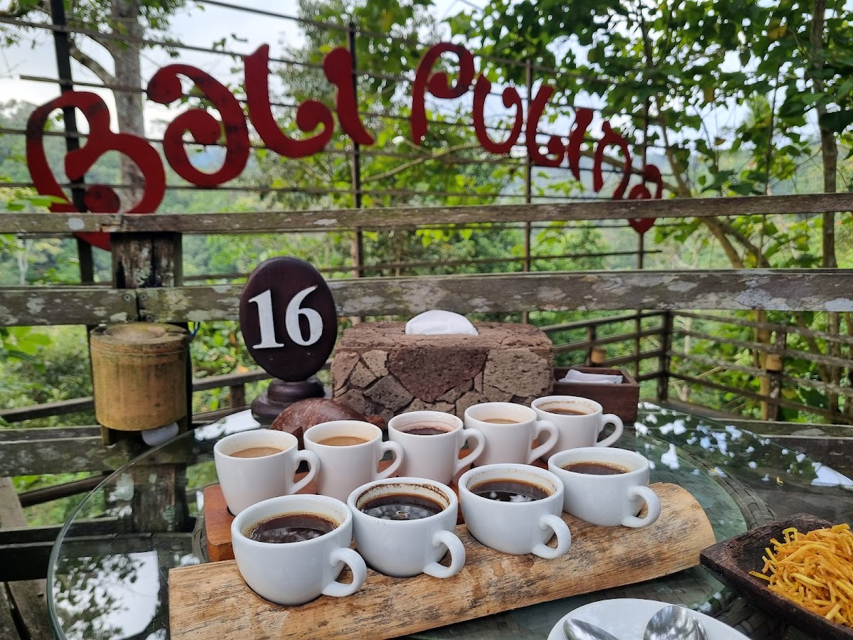 Bali Pulina, Tegallang Gianyar Photo 10