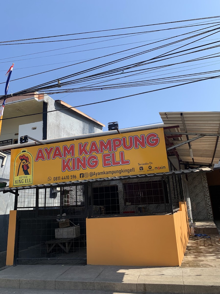 AYAM KAMPUNG KING ELL. kassi kassi