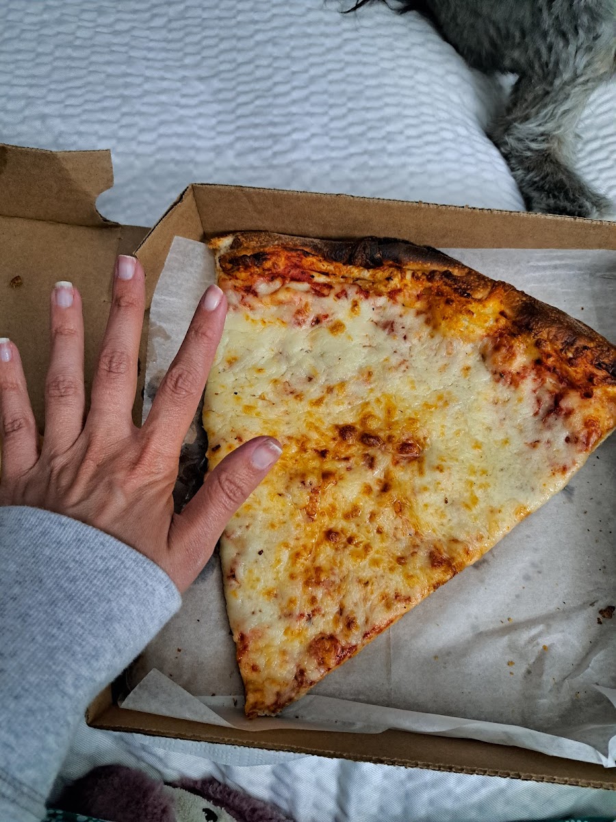 Checkers Pizza Photo 7