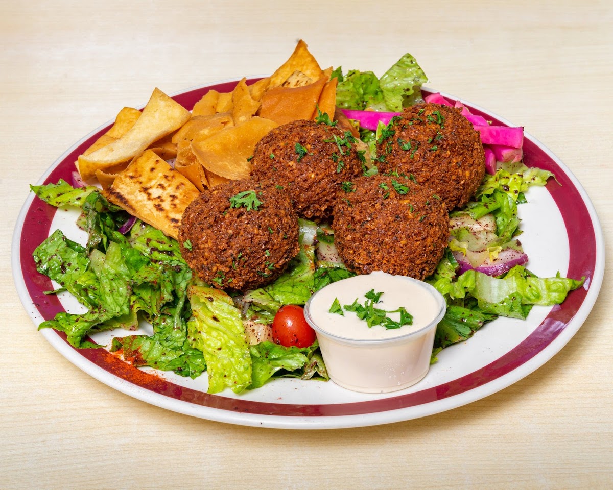 Falafel Xpress -- FX Vegetarian Photo 3