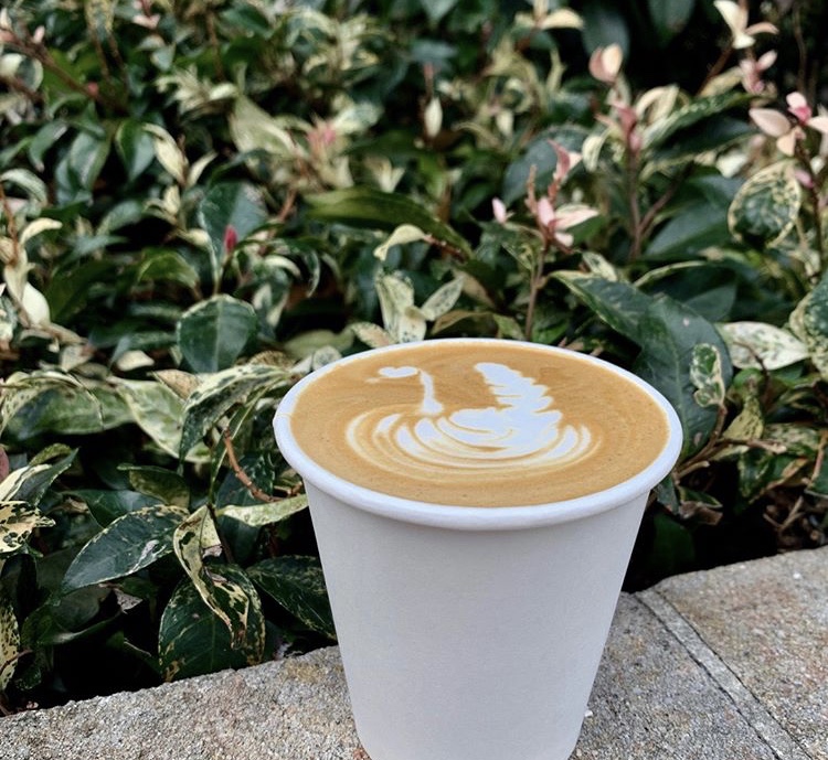 The Park Specialty Coffee Photo 7