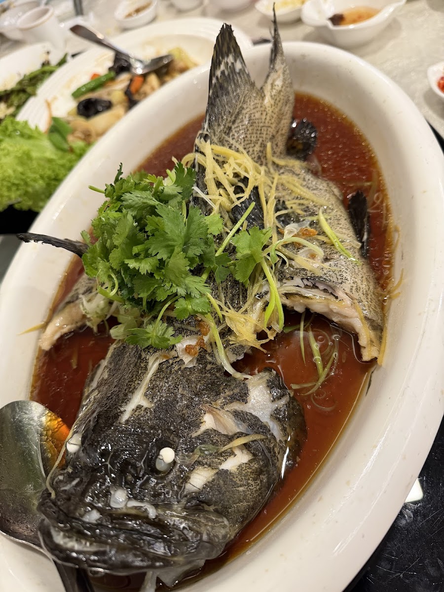 Shan Ming Restaurant Mount Austin 鐥洺海鲜酒楼 Photo 9