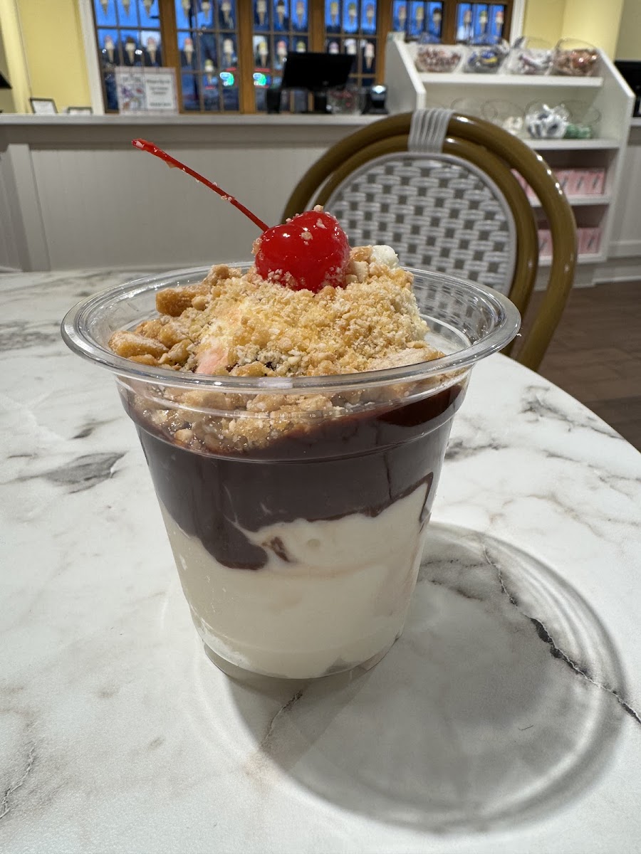 Titanic Ice Cream Photo 7