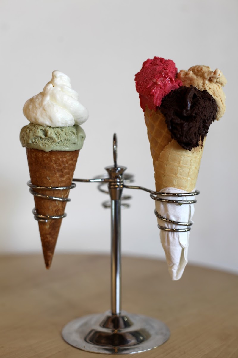 Tutto Gelato Photo 4