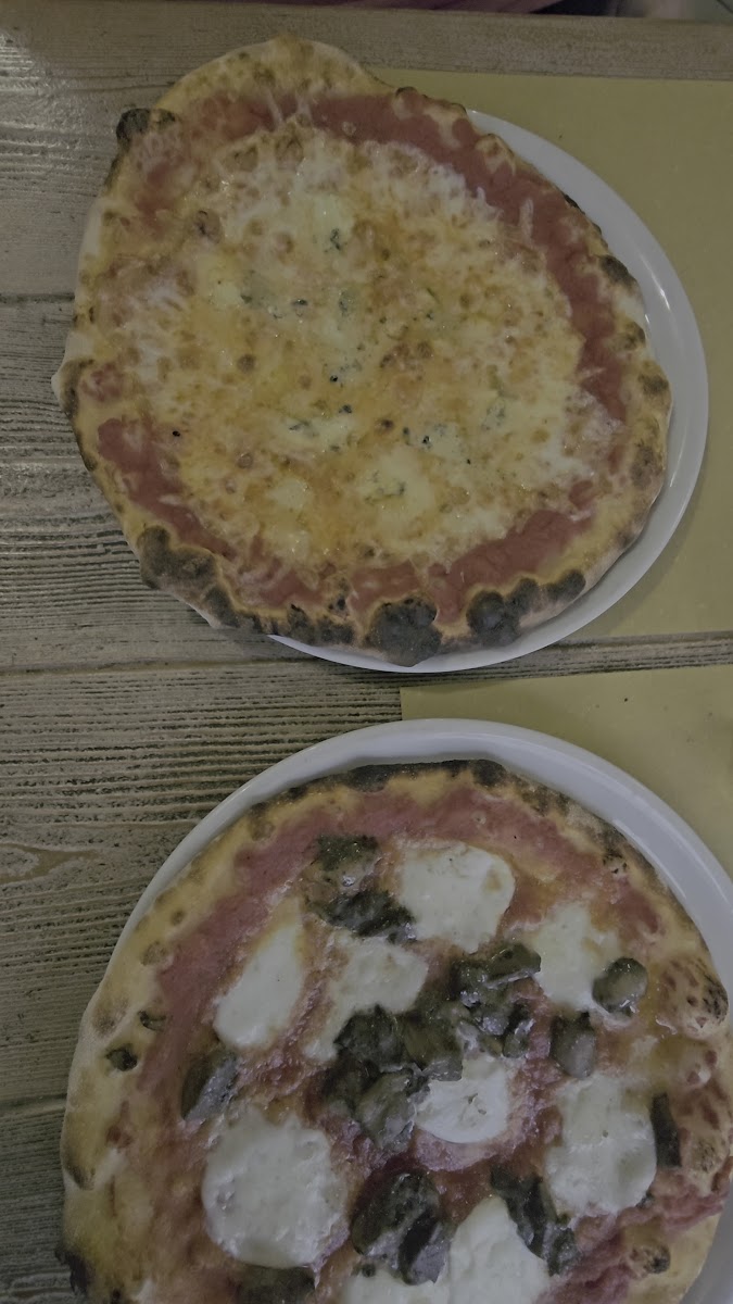 La Tana Pisa Photo 2
