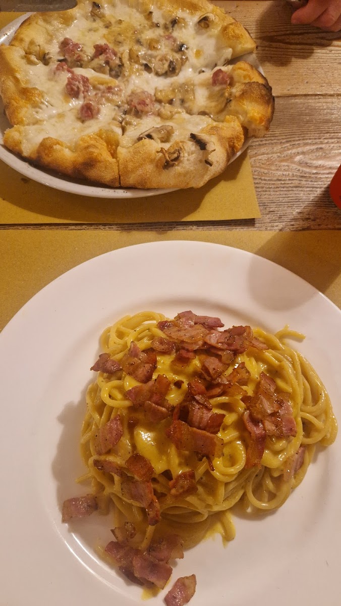 La Tana Pisa Photo 6