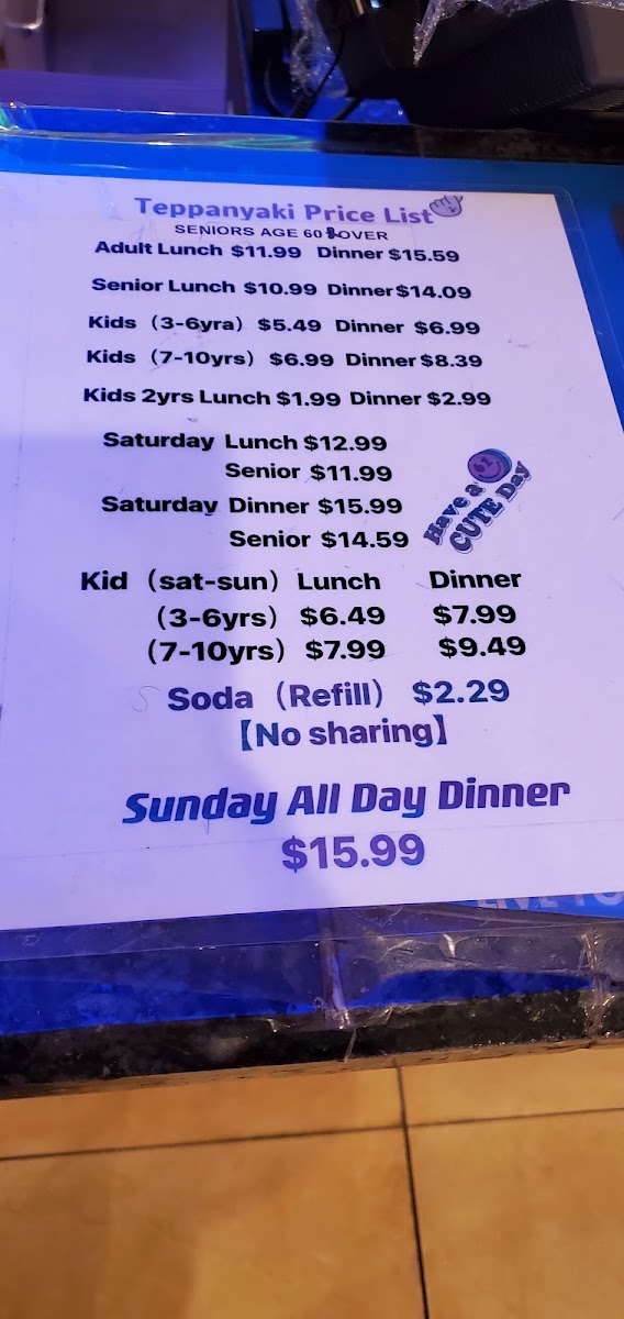 Teppanyaki Grill Photo Menu 2
