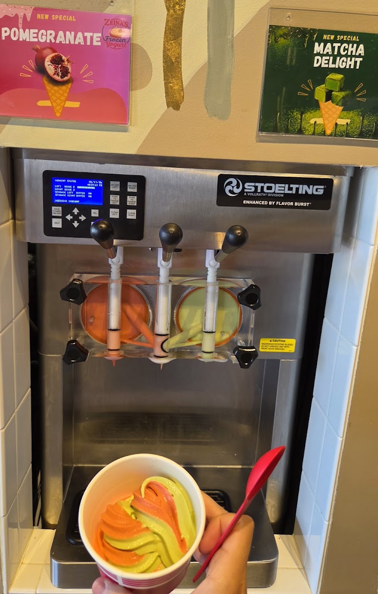 Zeinas Frozen Yogurt Photo 5