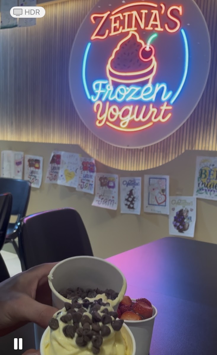Zeinas Frozen Yogurt Photo 8
