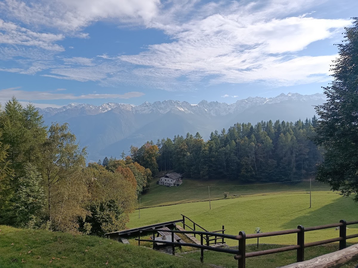 Agriturismo Al Tiglio Photo 4