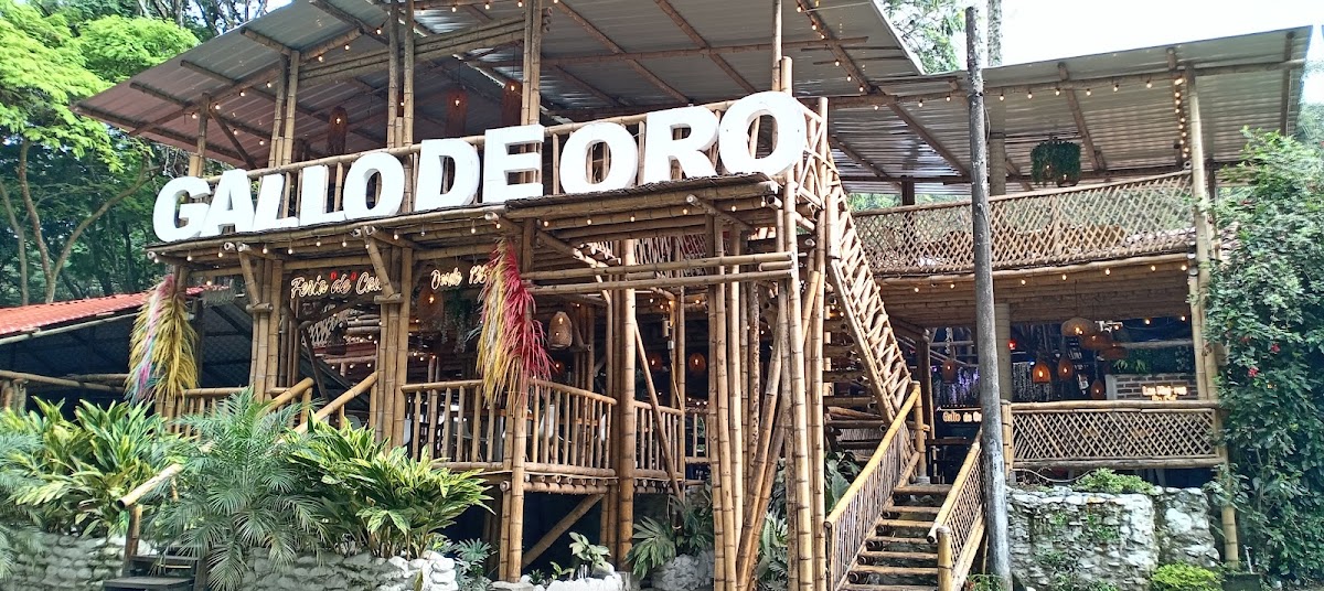 restaurante gallo de oro cali