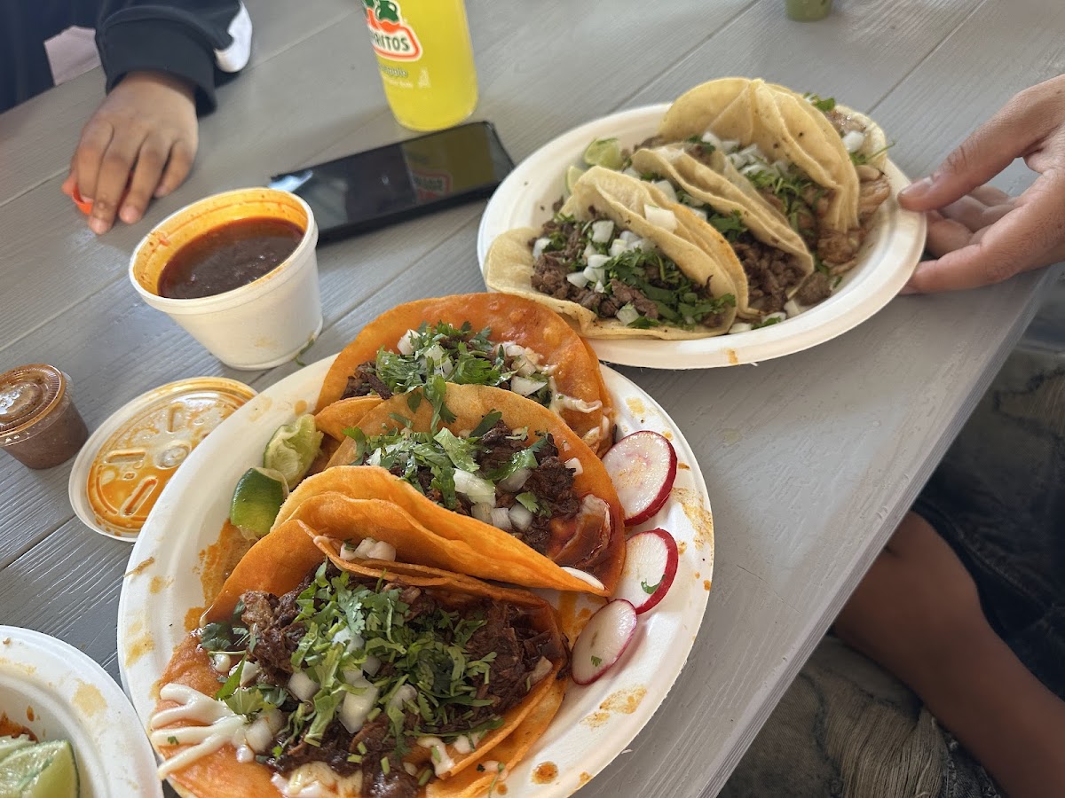 Orale Taqueria Photo 3
