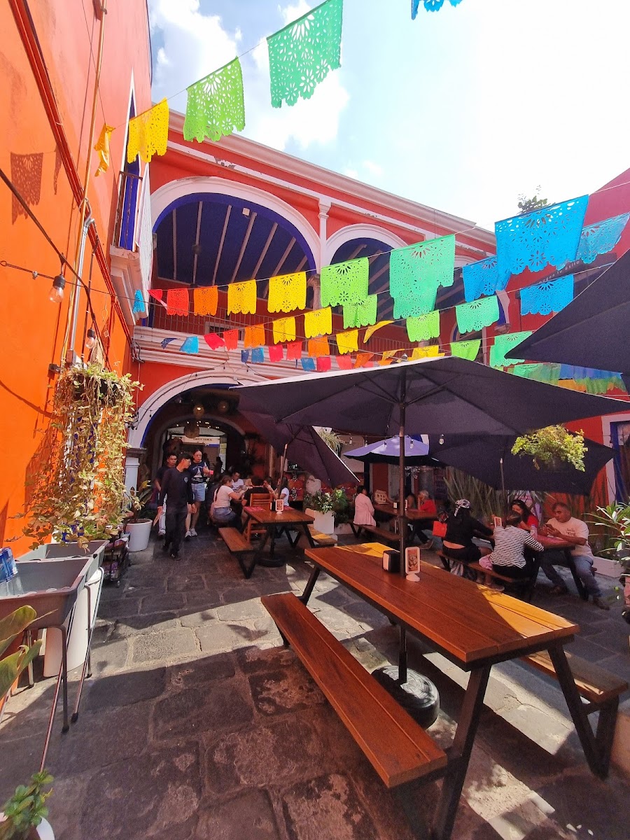 Restaurante Enchiladas Lolita en Atlixco Centro Photo 3