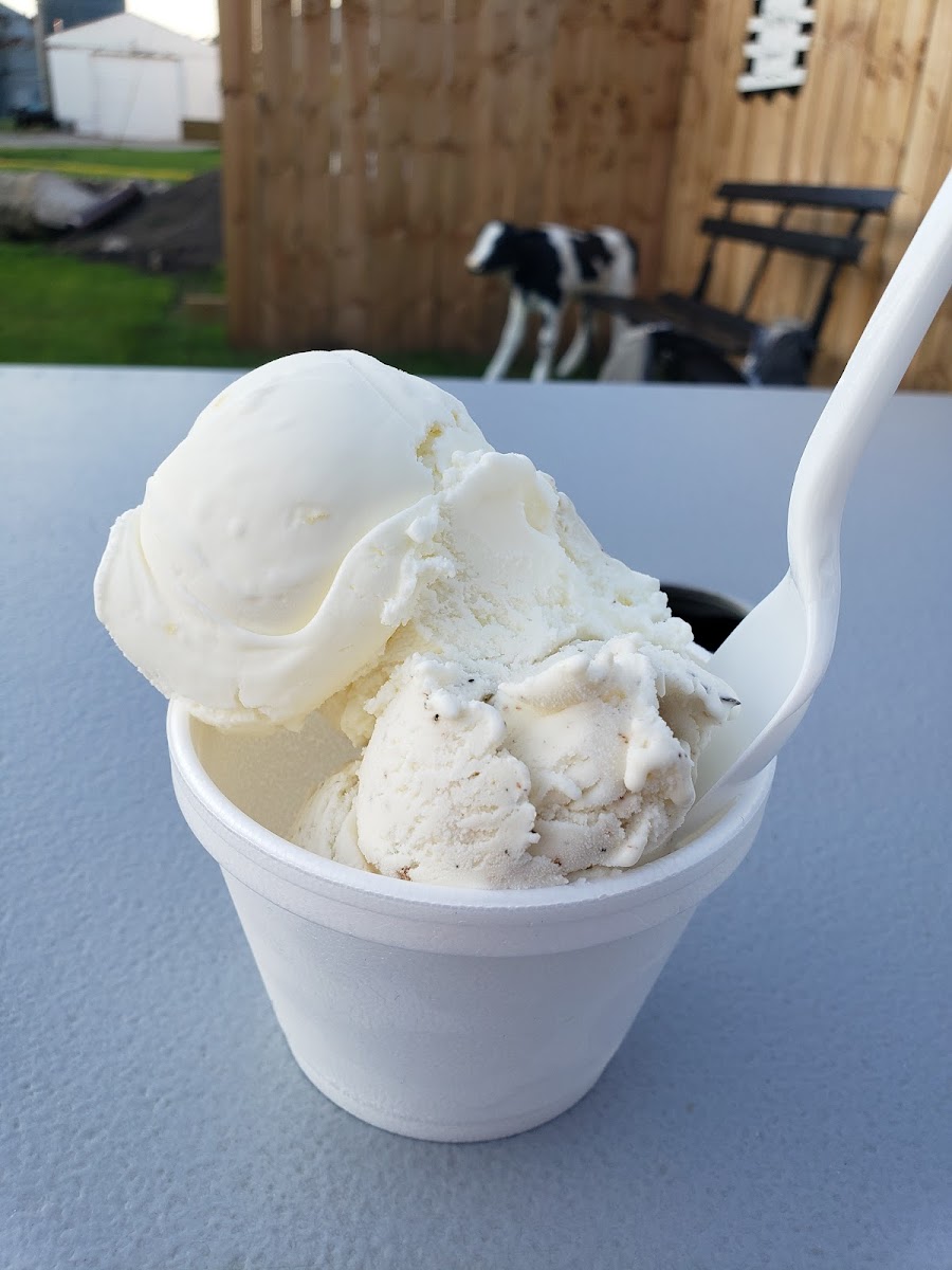 The Frosty Cow Photo 5