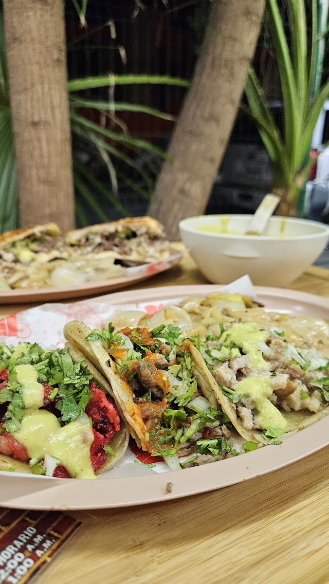 Tacos El Forastero 8 Olivia Photo 6