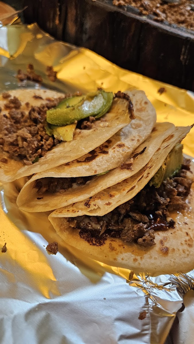 Tacos El Forastero 8 Olivia Photo 9