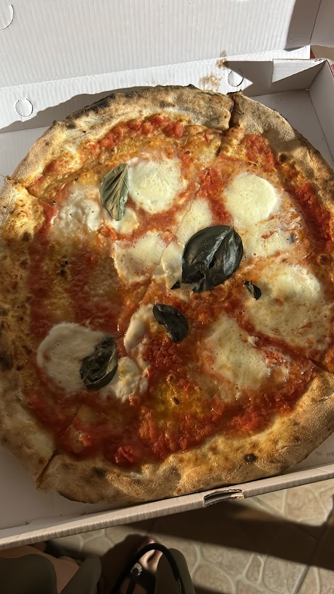 Tonino Photo 10